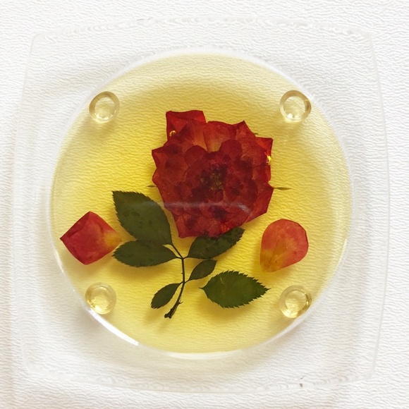 VTG Dried Pressed Flower Drink Coaster Set 12 - Picture 5 of 13